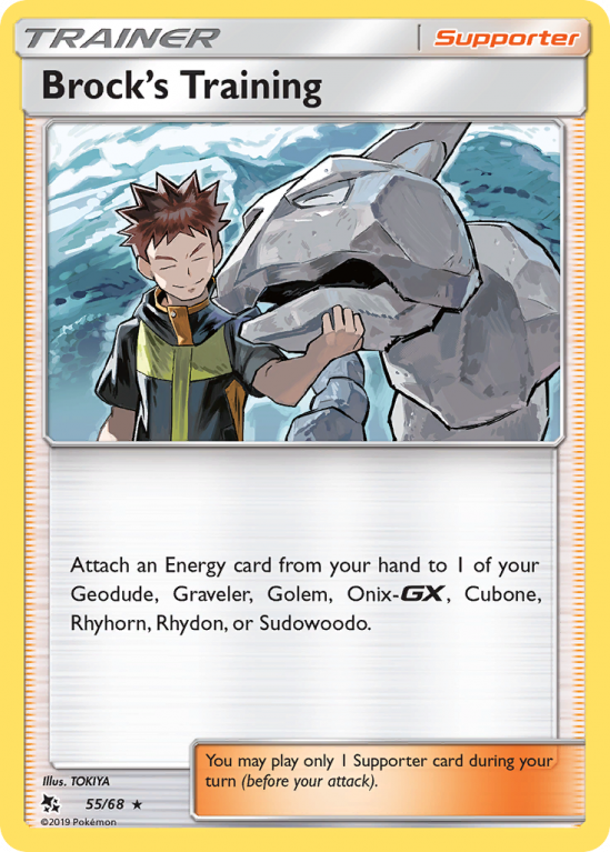 Brock's Training 55/68 Sun & Moon Hidden Fates