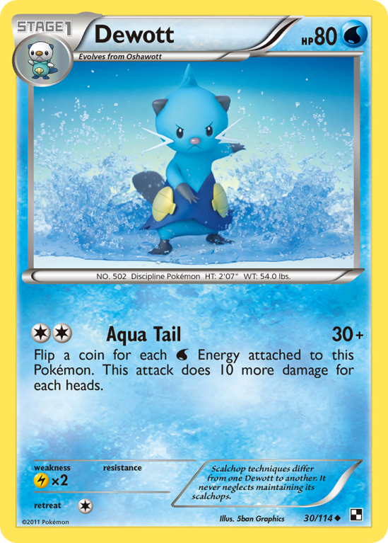 Dewott 30/114 Black & White Black & White