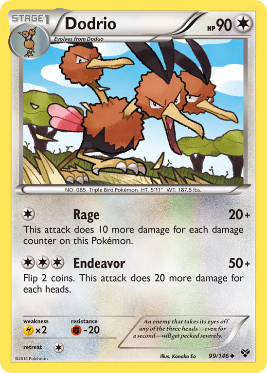 Dodrio 99/146 XY XY