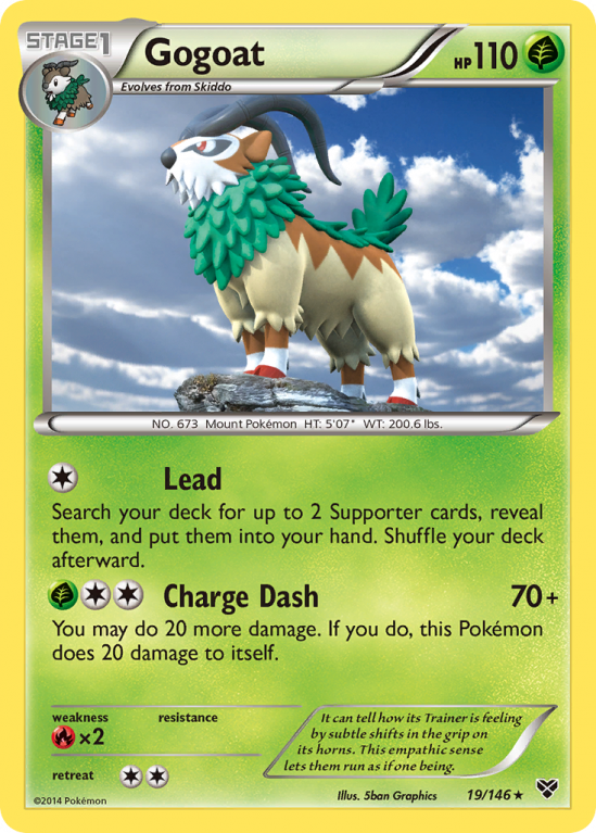 Gogoat 19/146 XY XY