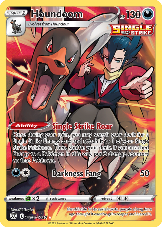 Houndoom TG10/30 Sword & Shield Brilliant Stars Trainer Gallery