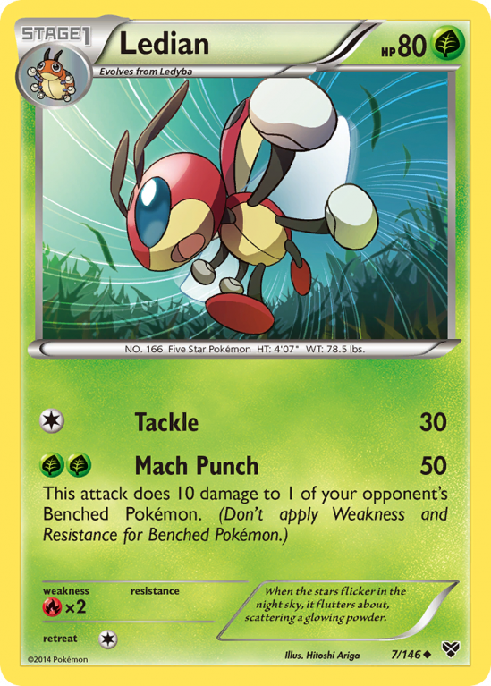 Ledian 7/146 XY XY
