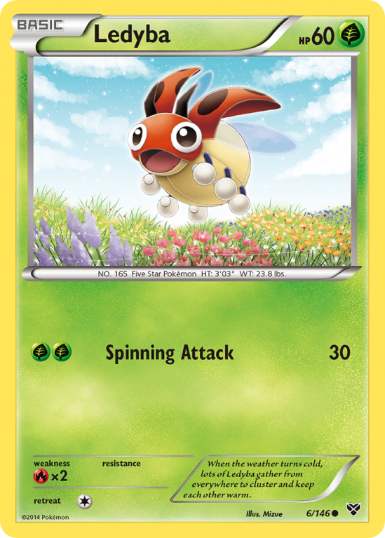 Ledyba 6/146 XY XY