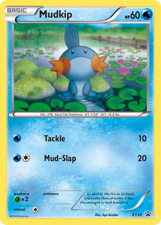 Mudkip XY38/183 XY XY Black Star Promos