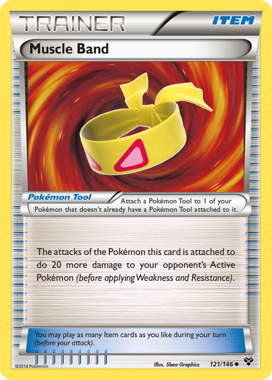 Muscle Band 121/146 XY XY