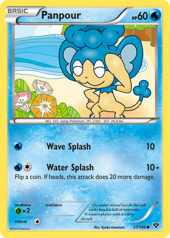 Panpour 37/146 XY XY