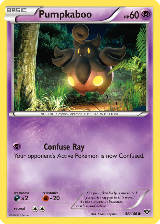 Pumpkaboo 56/146 XY XY