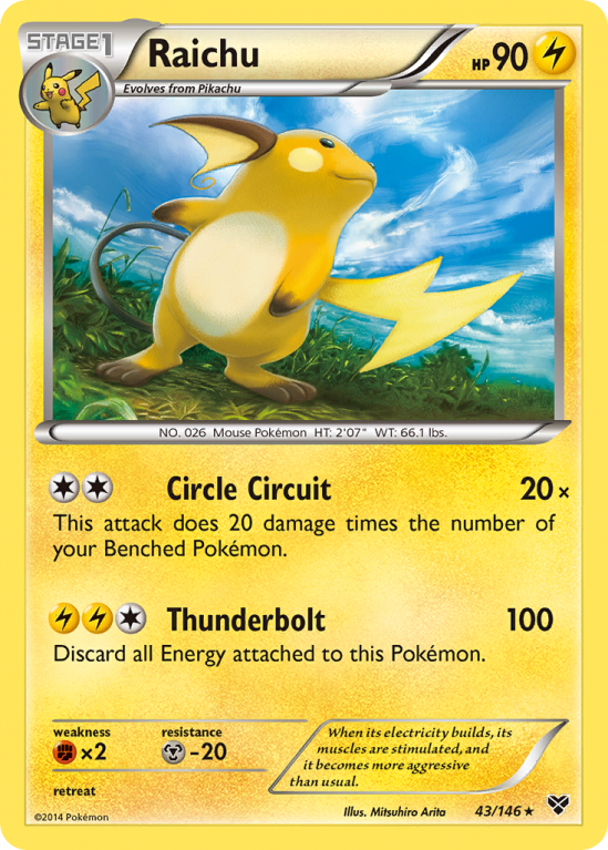 Raichu 43/146 XY XY