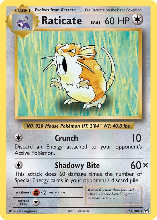 Raticate 67/108 XY Evolutions