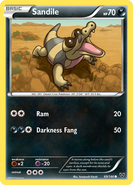 Sandile 69/146 XY XY