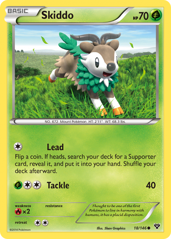 Skiddo 18/146 XY XY