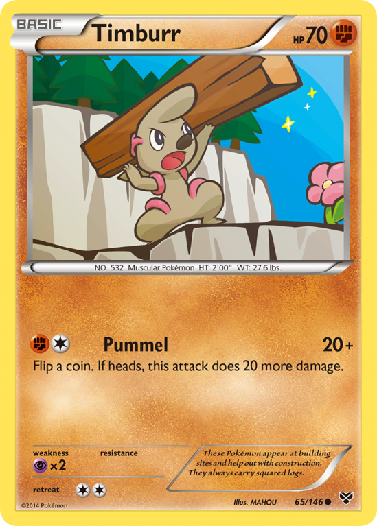 Timburr 65/146 XY XY