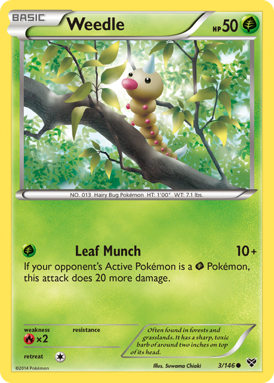 Weedle 3/146 XY XY