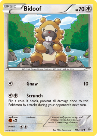 Bidoof 116/160 XY Primal Clash