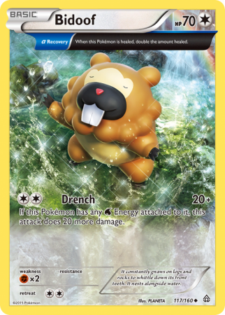 Bidoof 117/160 XY Primal Clash