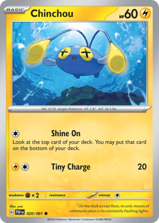 Chinchou 20/91