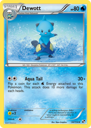 Dewott 30/114 Black & White Black & White