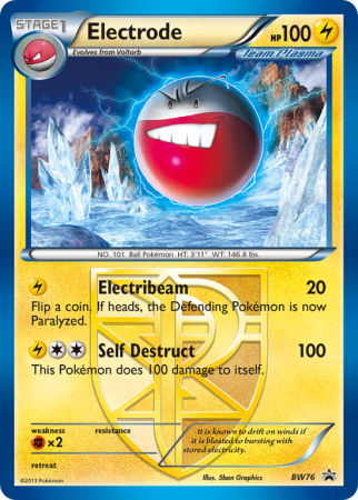 Electrode BW76/101