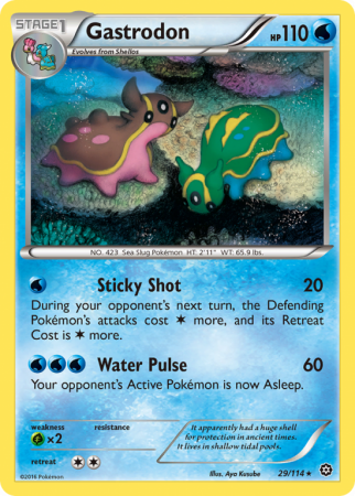 Gastrodon 29/114