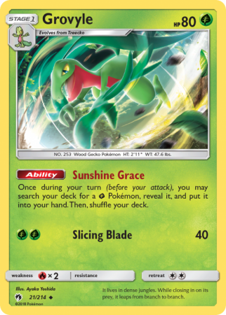Grovyle 21/214