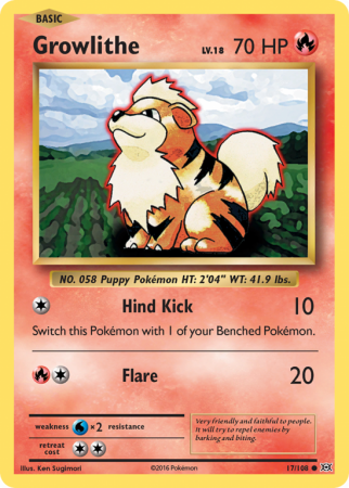 Growlithe 17/108 XY Evolutions