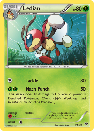 Ledian 7/146 XY XY