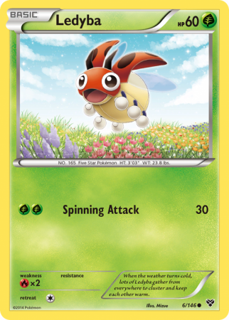 Ledyba 6/146 XY XY