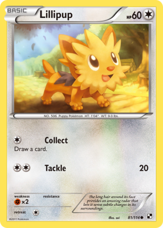 Lillipup 81/114 Black & White Black & White
