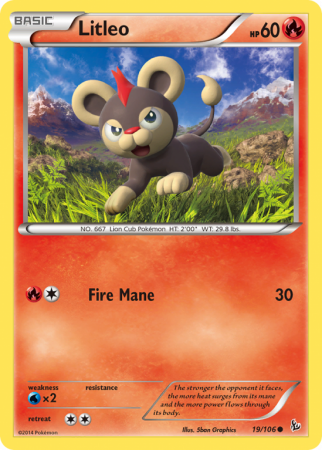 Litleo 19/106 XY Flashfire