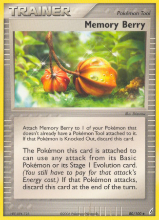 Memory Berry 80/100