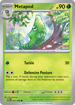 Metapod 11/165