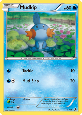 Mudkip XY38/183