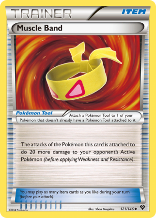 Muscle Band 121/146 XY XY
