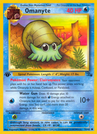Omanyte 52/62 Base Fossil