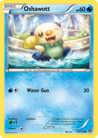 Oshawott 30/114 XY Steam Siege
