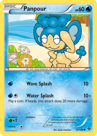 Panpour 37/146 XY XY