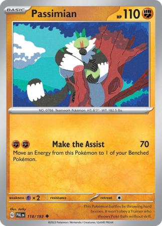 Passimian 118/193