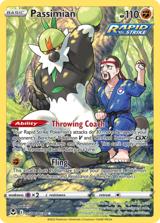 Passimian TG08/30 Sword & Shield Silver Tempest Trainer Gallery