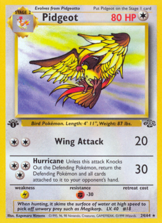 Pidgeot 24/64
