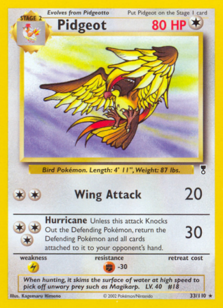 Pidgeot 33/110