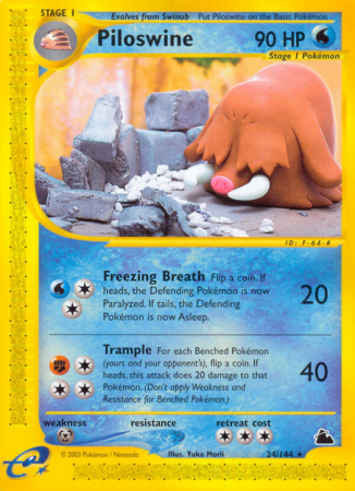 Piloswine 24/182 E-Card Skyridge