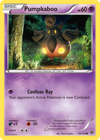Pumpkaboo 56/146 XY XY