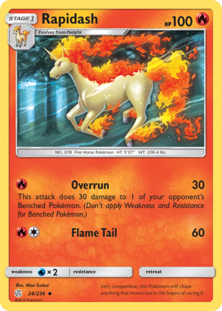 Rapidash 24/236