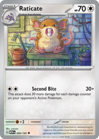 Raticate 20/165