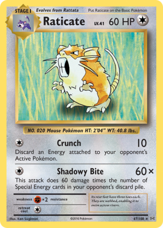 Raticate 67/108 XY Evolutions