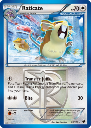 Raticate 88/116
