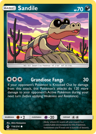 Sandile 114/214