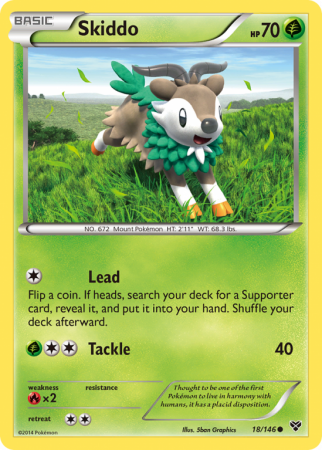 Skiddo 18/146 XY XY