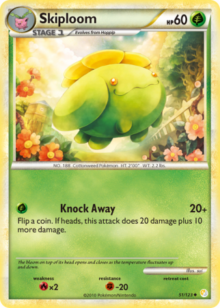 Skiploom 51/123