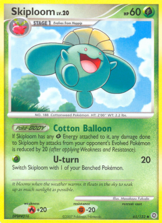 Skiploom 65/132